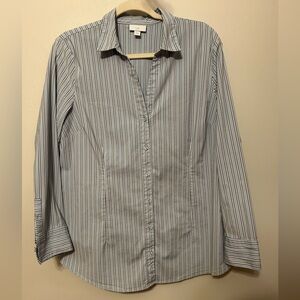 J. Jill Blue and White Striped Shirt